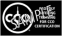 CCO Training Provider logo - Black, horizontal sample