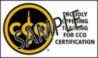 CCO Training Provider logo - Black and PMS124, horizontal sample